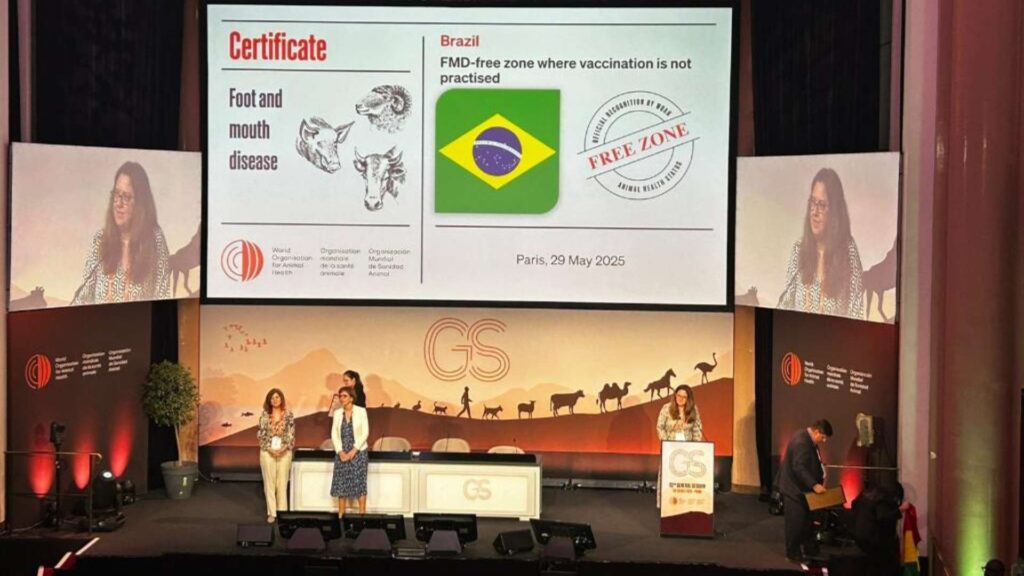 Órgão mundial de saúde animal reconhece Brasil como livre de aftosa sem vacinação — Foto: Divulgação / Abrafrigo